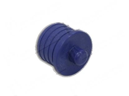 Bild på Rinse arm plug  24,5 mm for Hobart Part# 01245080002, 01-245080-002