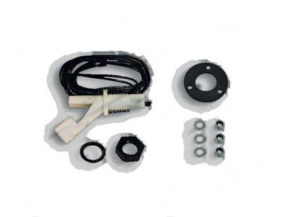 Picture of Floating level switch  18x52 mm [Kit] for Meiko Part# 0130028, 9005977, 9526211, ME9526211