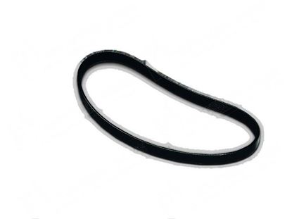 Picture of V-ribbed belt L=559x2,34x3 mm for Zanussi, Electrolux Part# 033106, 0KJ780, 3020