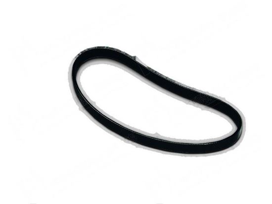 Picture of V-ribbed belt L=559x2,34x3 mm for Zanussi, Electrolux Part# 033106, 0KJ780, 3020