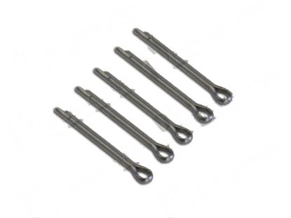 Picture of Cotter pin  2x25 mm INOX (5 pcs) for Meiko Part# 0351002, 0351004, MEK0351004