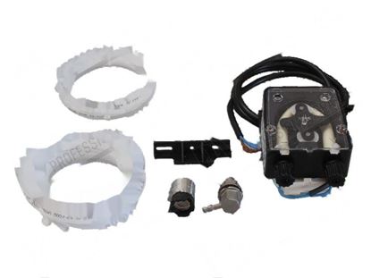 Picture of Detergent peristaltic pump adj. capacity (internal use) for Zanussi, Electrolux Part# 049469, 0S0707