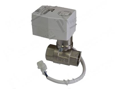 Picture of Motor-operated valve 1"FF 240V 50/60Hz for Zanussi, Electrolux Part# 0C1397