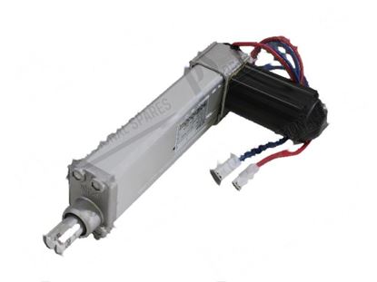 Picture of Linear actuator right 36V Max 250N for Zanussi, Electrolux Part# 0C3970