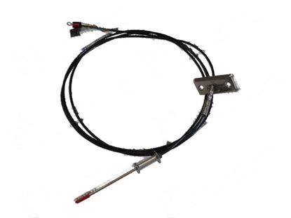 Picture of Core probe multipoint for Zanussi, Electrolux Part# 0C6574