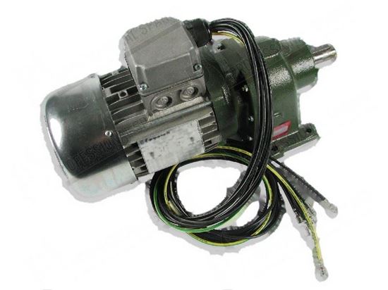 Picture of Gearmotor 3 phase 270/160W 380/420V 50/60Hz for Zanussi, Electrolux Part# 0E5352