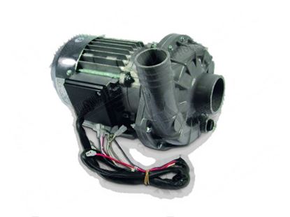 Picture of Wash pump 3 phase 550W 220-240/380-415V 50Hz for Zanussi, Electrolux Part# 0E6012