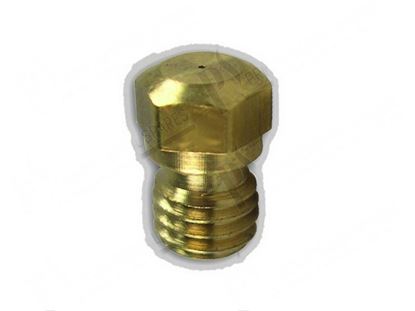 Picture of Gas nozzle M5x0,8 CH5,5  0,19 mm GPL for Zanussi, Electrolux Part# 0G2372, 72505902