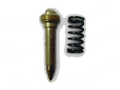 Picture of Pilot burner nozzle  0,20 mm + spring for Zanussi, Electrolux Part# 0H6371