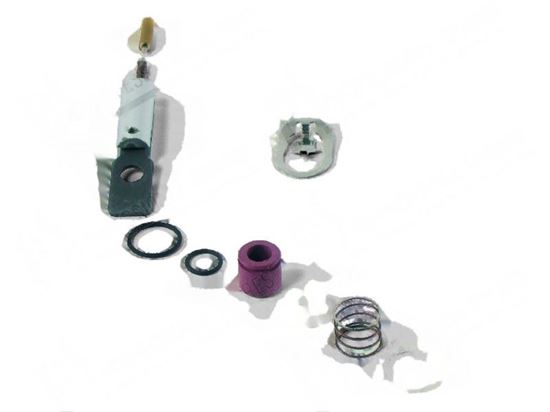 Picture of Solenoid valve repairing ASCO C302842 Kit for Zanussi, Electrolux Part# 0KA481