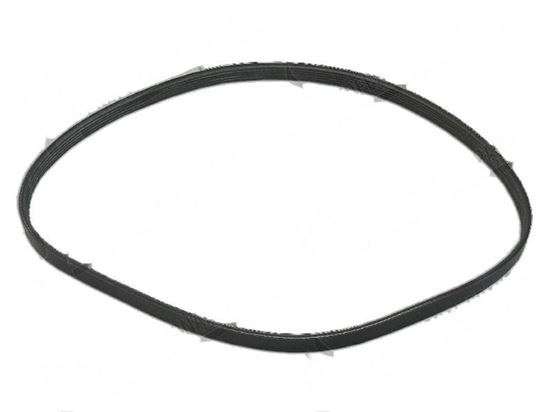 Picture of V-ribbed belt L=813x14,2x3,6 mm for Zanussi, Electrolux Part# 0W3741, 487225610