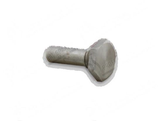 Picture of Screw M8  6x22 mm for Fagor Part# 12008634, X960504000