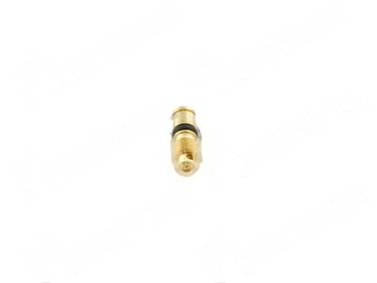 Изображение Minimum screw  0,75 mm - 18700 for Fagor Part# 12008834 U912116000