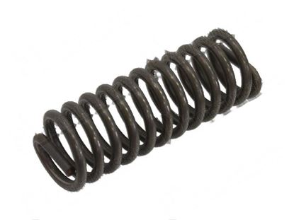 Image de Compression springs  44x125 mm for Fagor Part# 12009030, S116121000