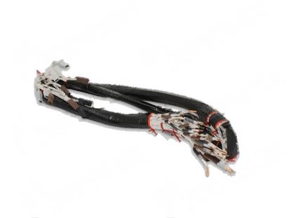 Foto de Resistance wiring for Fagor Part# 12009444, T703010000