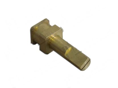 Obrázek Extension for gas valve L=41 mm for Fagor Part# 12009774 12020879 R062101000 R062102000