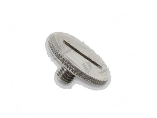 Picture of Knurled head screw  20 mm - M5x7 mm INOX for Fagor Part# 12009829, Q152016000