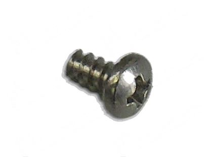 Bild von Sheet metal screws M4x6 mm for Fagor Part# 12009876, Q151320000