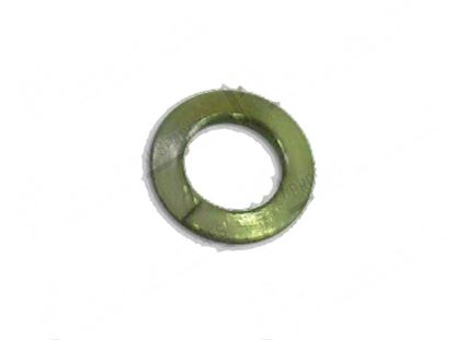 Изображение Grower washer  5,3 mm H=1,3 mm INOX for Fagor Part# 12009924, Q262030000