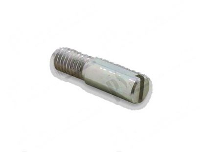 Foto de Pin  7xLtot. 25,5 mm - M6x10 mm for Fagor Part# 12010011, Q151336000