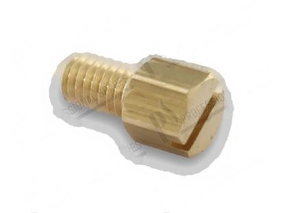 Immagine di Screw M4x7 mm - Ltot. 12,3 mm for Fagor Part# 12010033 Q153002000