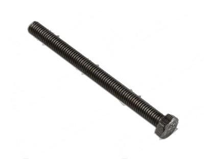 Afbeeldingen van Hexagonal head screw TE M5x60 mm - INOX for Fagor Part# 12010083, Q011338000