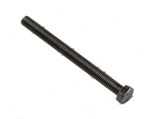 Picture of Hexagonal head screw TE M5x60 mm - INOX for Fagor Part# 12010083, Q011338000