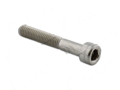 Bild på Cylinder head bolts M6x20 mm INOX for Fagor Part# 12010084, Q052046000