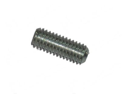 Изображение Grub screw M6x16 mm INOX for Fagor Part# 12010236, Q132042000