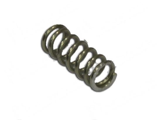 Picture of Compression springs  5,5x8 mm L=20 mm for Fagor Part# 12024164 T130506000