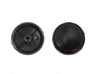 Foto de Knob  45 mm for Fagor Part# 12024316, T903007000