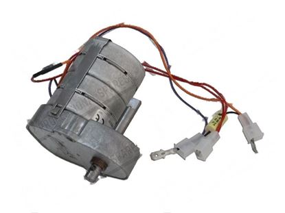 Afbeeldingen van Gearmotor 230V 50Hz for Fagor Part# 12024754, T330711000