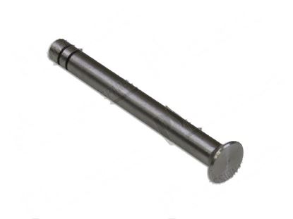 Immagine di Shaft  6x55 mm for Fagor Part# 12025202,P620514000