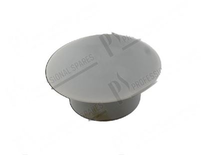 Immagine di Drain plug  20,5xh 23,5 mm for Fagor Part# 12037989 6003010262