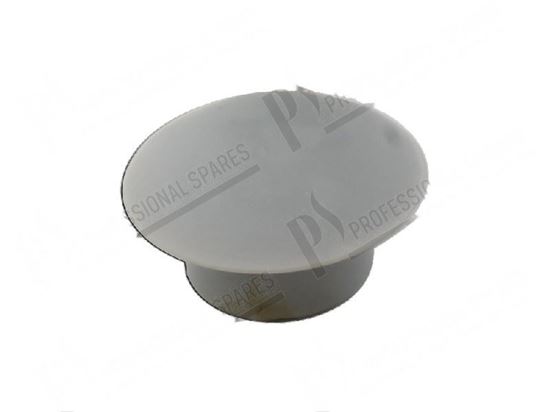 Picture of Drain plug  20,5xh 23,5 mm for Fagor Part# 12037989 6003010262