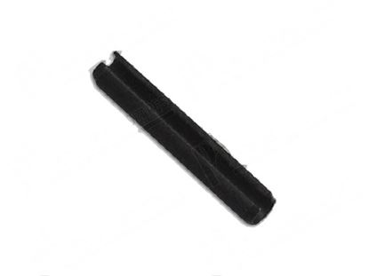 Bild von Roll pin  3x20 mm for Fagor Part# 12038361,Q371031000