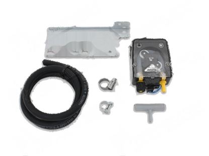 Immagine di Rinse aid peristaltic pump adj. capacity [Kit] for Fagor Part# 12092198, 12136886