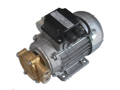 Obrazek Rinse pump 150W 1P 230V 1,5A 50Hz for Dihr/Kromo Part# 15100, DW15100