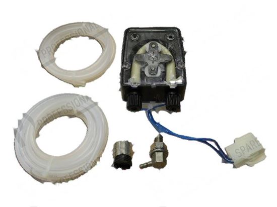 Picture of Detergent peristaltic pump fixed capacity (internal use) for Elettrobar/Colged Part# 209013, REB209013