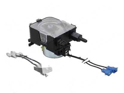 Bild von Rinse aid peristaltic pump fixed capacity for Elettrobar/Colged Part# 209024, 209036, 209036C