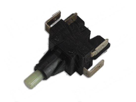 Picture of Double-pole switch 16A 250V - ROLD instable for Elettrobar/Colged Part# 226071, 226115, REB226071