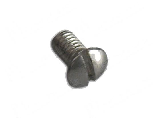 Picture of Raised countersunk head screw M5x12 mm - INOX for Comenda Part# 260223 300156