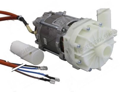 Picture of Rinse pump 1 phase 270W 230V 1,3A 50Hz for Winterhalter Part# 3102051, 3102288, 3102477