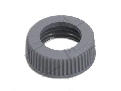 Picture of Ring nut washing nozzle for Elettrobar/Colged Part# 429007, REB429007