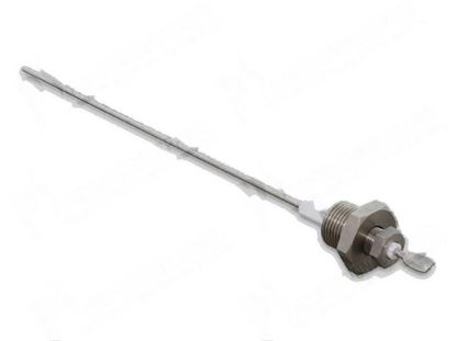 Picture of Level probe  2,5x129 mm for Comenda Part# 450288 H36860