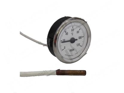 Picture of Thermometer  52 mm 0 ·120Â°C for Zanussi, Electrolux Part# 48564