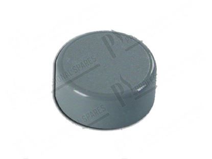 Picture of Grey push button  23 mm for Zanussi, Electrolux Part# 49062