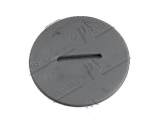 Obrazek Plug for cable holder PG29 for Dihr/Kromo Part# 80421, DW80421