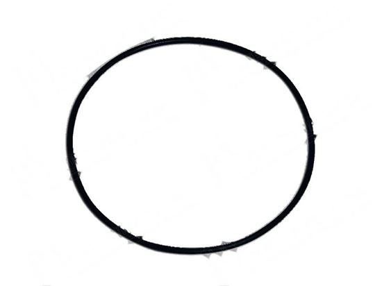 Picture of Gasket for pump 3,53x158,34 mm for Elettrobar/Colged Part# 926084, RAG61