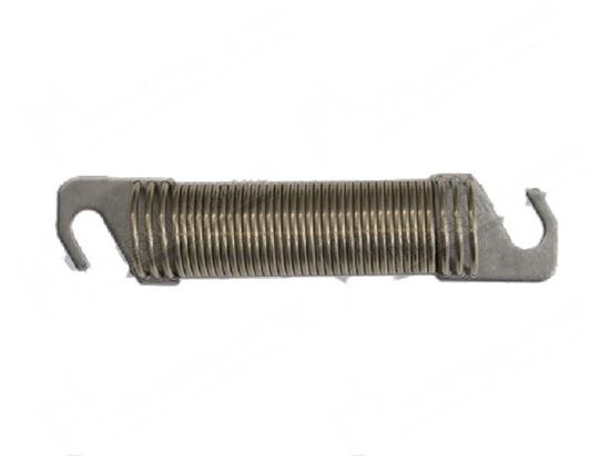 Picture of Tension spring  21,5x73xLtot. 110 mm for Meiko Part# 9521470, 9521764, ME9521764